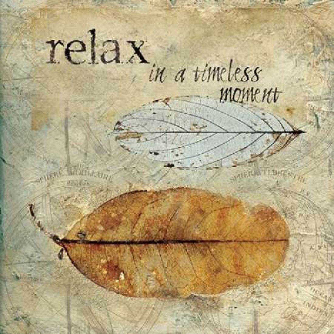 Relax Canvas Art - Carol Robinson (24 x 24)