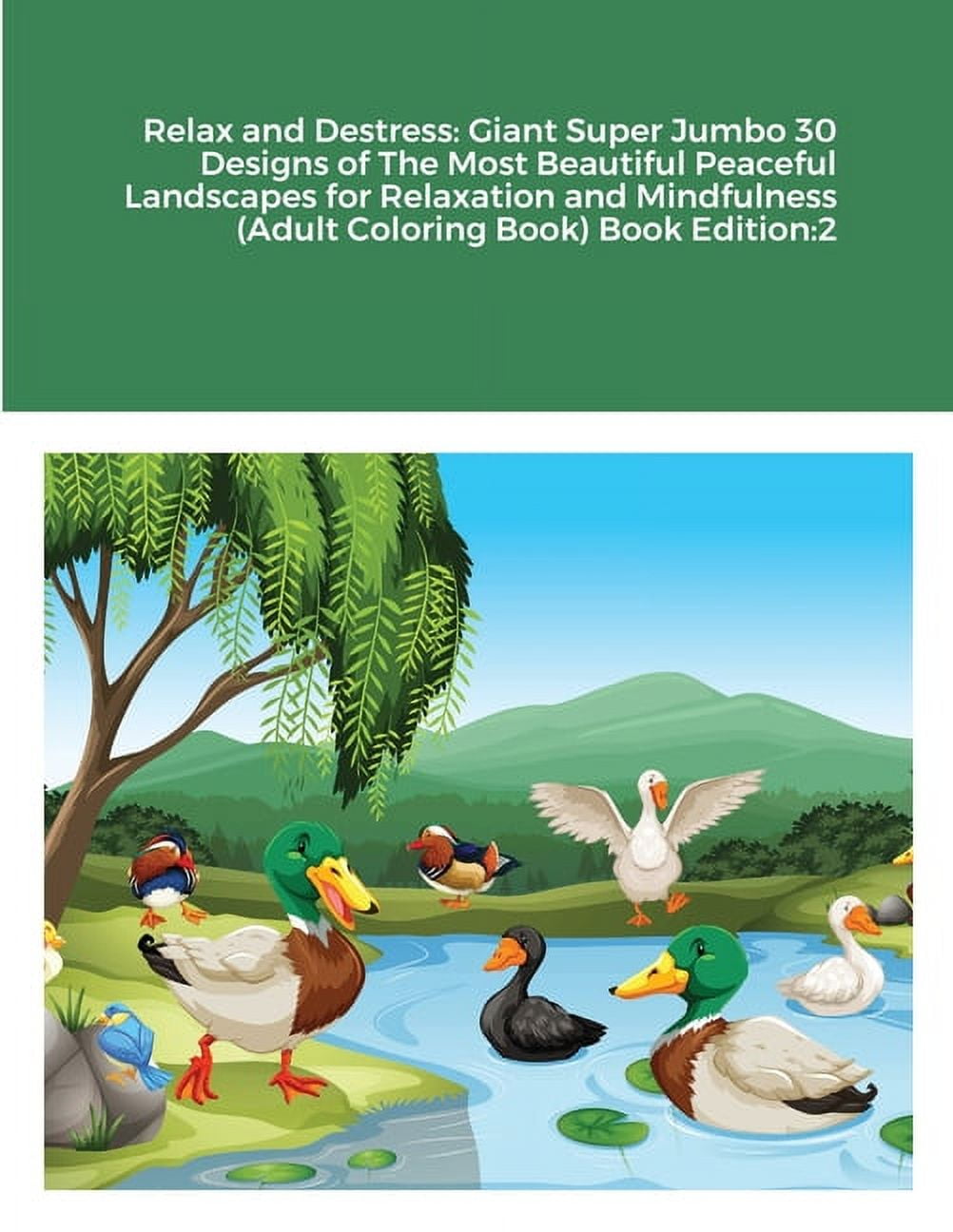 Adult Coloring Book: Giant Super Jumbo 30 Designs of The Most Beautiful  Peaceful Landscapes for Depression and Anxiety (Paperback)