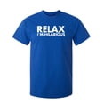 thumbnail image 1 of Relax I'm Hilarious Sarcastic Humor Graphic Novelty Funny Tall T Shirt, 1 of 1