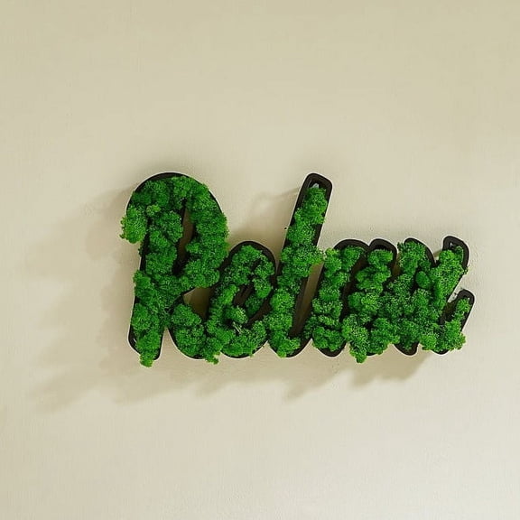 "Relax" Preserved Moss Wall Art Serenity in Every Strand