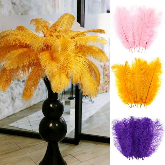 Relax love Ostrich Feather Plume 10Pcs Multi-Color Ostrich Feather Plume Decorative Pink Gold Purple Feather Craft Fashion DIY Large Feather Party Centerpieces for Home Wedding,Pink