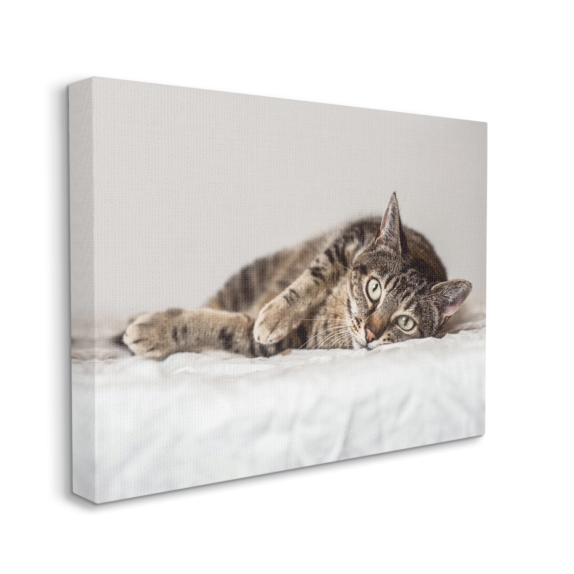Stupell Industries Relaxed Pet Feline Cat Nap Green Eyes,36 x 48,Designed by Marika Moffit