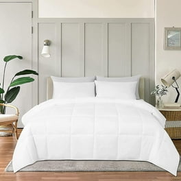 Madison Park Dawn 100% Cotton Shabby Chic Comforter Set-Modern Cottage  Design All Season Down Alternative Bedding, Matching Shams, Bedskirt