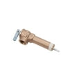 thumbnail image 1 of Reliance 3/4 in. MNPT Brass Relief Valve 1 pc, 1 of 4