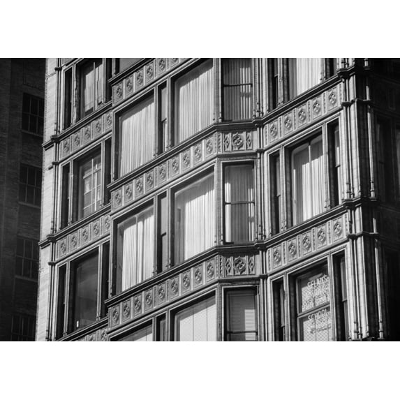 Reliance Building History Poster Print