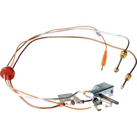 Reliance Water Heater LP Gas Pilot Assembly 9003455 - Gas Powered  Residential Use, Standard Application