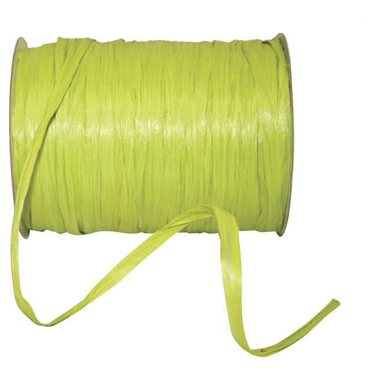 Reliant Ribbon - 25770-041-01C, Raffia Prime - Matte Ribbon, Chartreuse ...