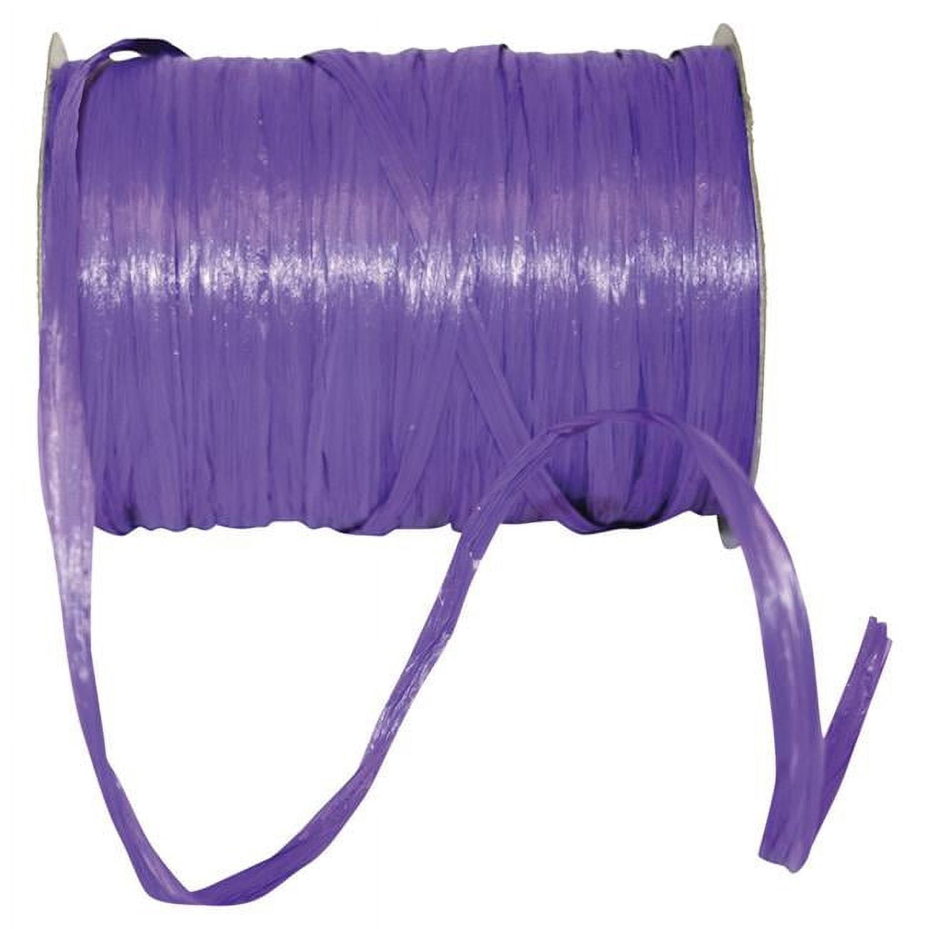 Relena Ribbons Reliant Ribbon - 25770-064-01C, Raffia Prime - Matte Ribbon, Purple, 1/ ...