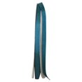 thumbnail image 1 of Reliant Ribbon - 4900-916-15C, Grosgrain Style Ribbon, Teal, 3/8 Inch, 100 Yards, 1 of 1