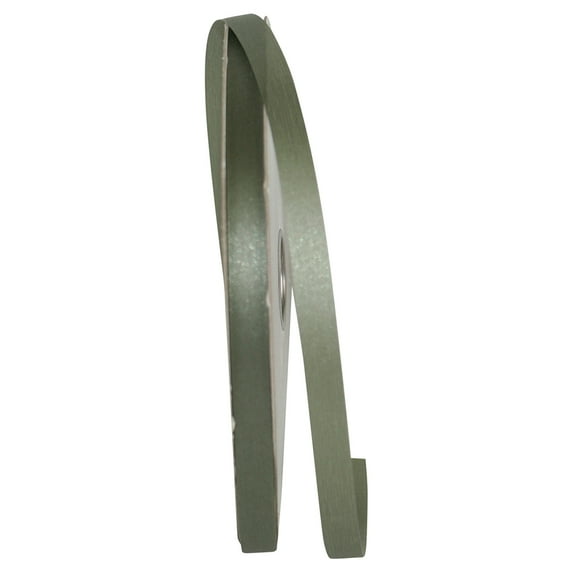 Reliant Ribbon - 5500-137-15C, Value Floral Satin With Firm Finish Ribbon, Celadon, 3/8 Inch, 100 Yards