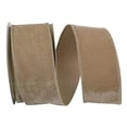 thumbnail image 1 of Reliant Ribbon - 93592W-964-40F, Regal Velvet Plush Wired Edge Ribbon, Taupe, 2-1/2 Inch, 10 Yards, 1 of 1