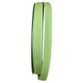 thumbnail image 1 of Reliant Ribbon Grosgrain All Occasion Lime Saddle Polyester Ribbon, 1800" x 0.62", 1 of 5