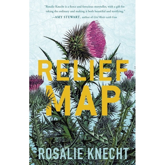 Relief Map (Paperback)