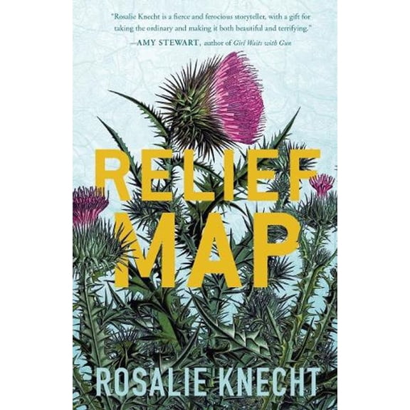 Relief Map (Paperback)