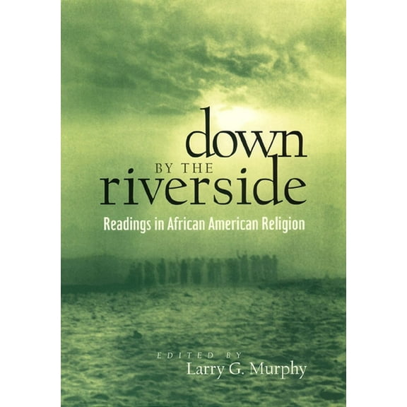 Religion, Race, and Ethnicity Down by the Riverside: Readings in African American Religion, Book 8, (Hardcover)