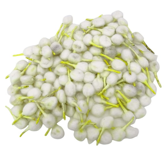 Religious Cotton Wicks Akand Jyot Diya Oil Lamp Diya Deepak Diwali Puja Bati