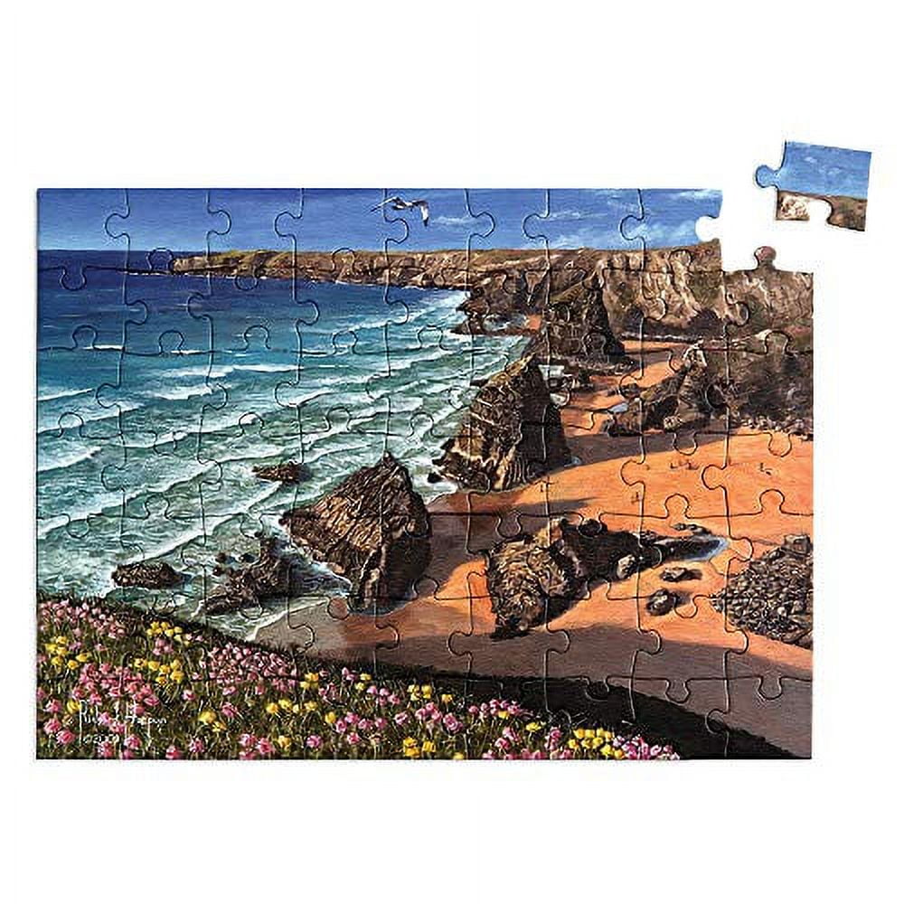 Relish 63 Piece Wild Coast Dementia Jigsaw Puzzle Dementia Activities