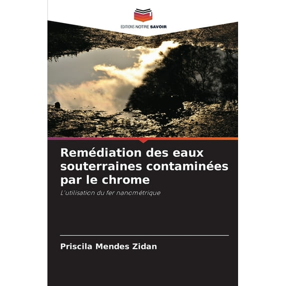 Remédiation des eaux souterraines contaminées par le chrome, (Paperback)