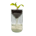 thumbnail image 1 of Remark Glass Self-Watering Planter (Clear XL), 1 of 2