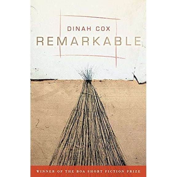 Pre-Owned Remarkable (American Reader), 9781942683100, 1942683103, Paperback,