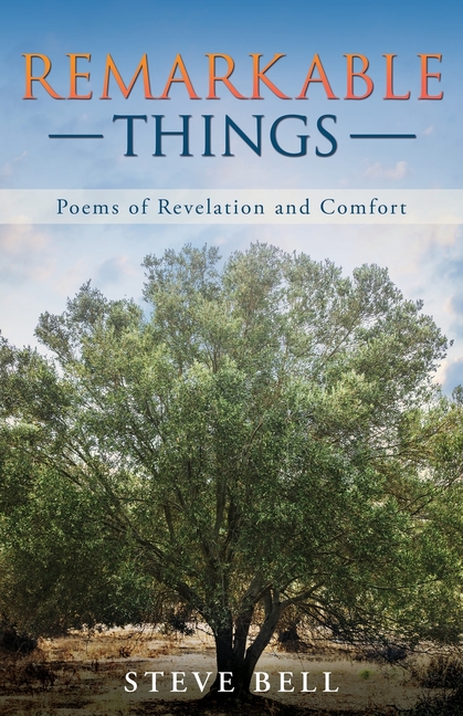 Remarkable　Comfort　Things　and　Poems　of　Revelation　(Paperback)