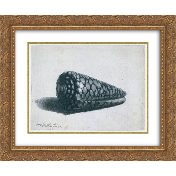 Rembrandt 2x Matted 24x20 Gold Ornate Framed Art Print 'The Shell (Conus marmoreus)'
