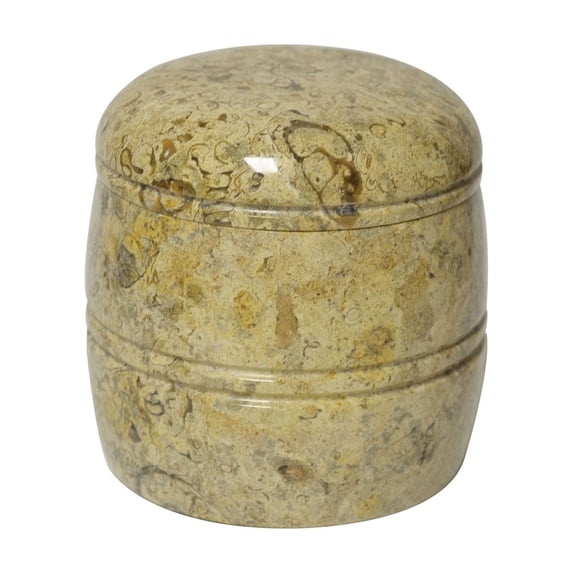 Rembrandt Home Fossil Jar