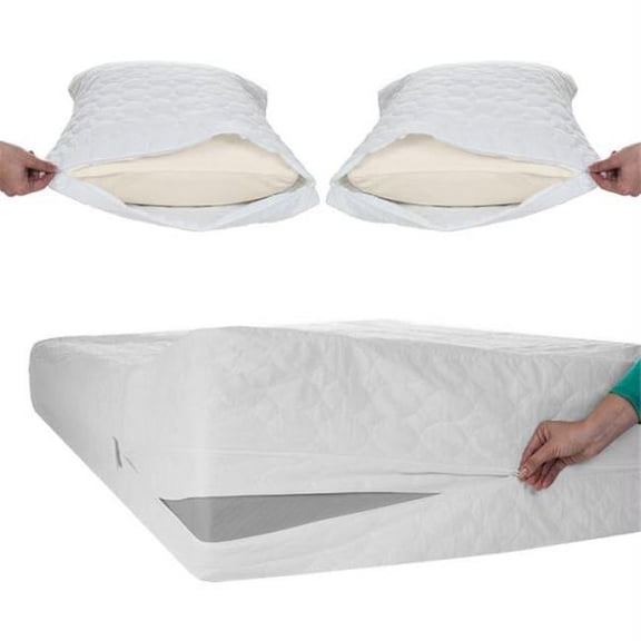 Remedy 4-lb Bed Bug Dust Mite Cotton Mattress & Pillow Protector-Twin