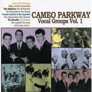 Various Artists - Remember Me Baby - Cameo Parkway Vocal Groups, Vol. 1 - Music & Performance - CD
