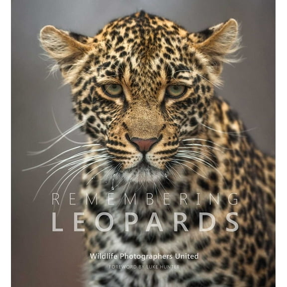 Remembering Leopards, (Hardcover)