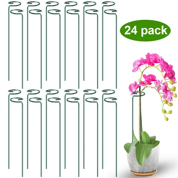 Remiawy 24 Pack 15.7 inch Plant Support Stakes, Metal Plant Stakes Garden Plant Single Stem Support Rings Amaryllis Stakes for Indoor Outdoor Plants, Orchid, Lily, Peony, Rose, Tomato, Monstera