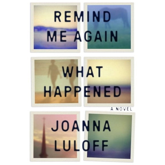Remind Me Again What Happened - Hardcover