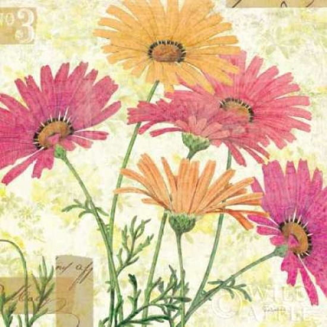 Reminiscence I Canvas Art - Sue Schlabach (24 x 24)