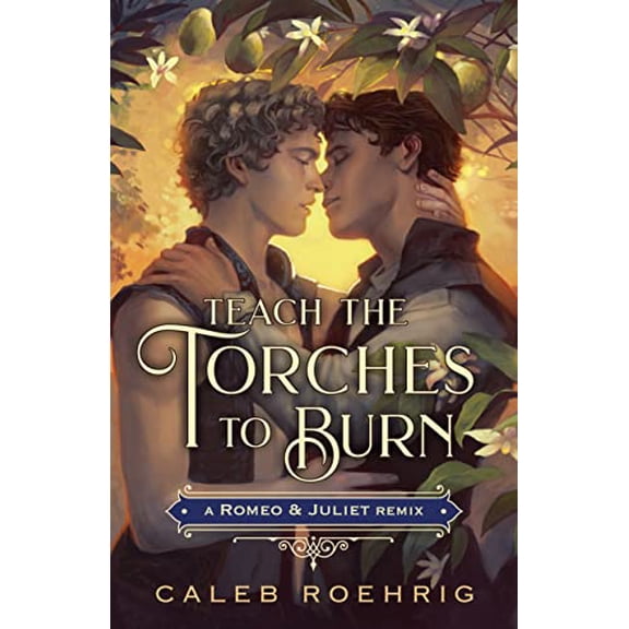 Pre-Owned Teach the Torches to Burn: A Romeo & Juliet Remix: 7 (Remixed Classics) Hardcover