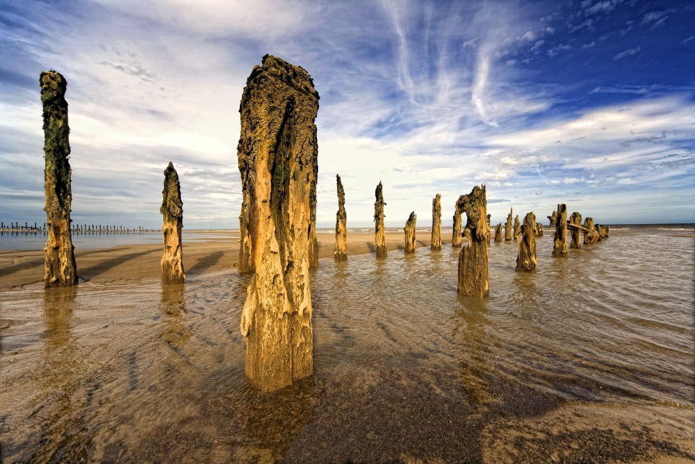 Remnants Of Moorings In Water Humberside England Canvas Art - John Short Design Pics (18 x 12)