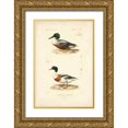 thumbnail image 1 of Remond, N. 13x18 Gold Ornate Wood Framed with Double Matting Museum Art Print Titled - Antique Duck Study II, 1 of 4