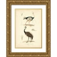 thumbnail image 1 of Remond, N. 17x24 Gold Ornate Wood Framed with Double Matting Museum Art Print Titled - Antique Ostrich Study, 1 of 4