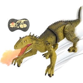 Remote Control Dinosaur Toy for Kids, Mist Spraying RC LED Sound Rechargeable USB Port Realistic Outdoor 2.4G