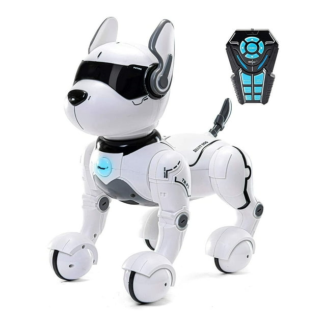 remote control capture the flag toy for dogs