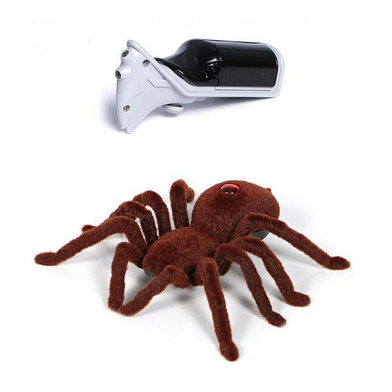Best remote control spider outlet