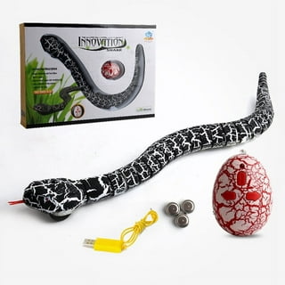 JA-RU Planet Earth Play Snakes (Styles Will Vary), Novelty & Gag Toys 