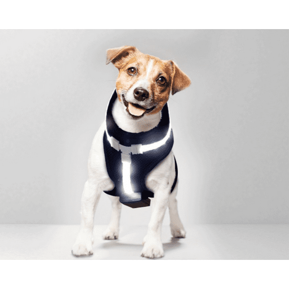 Remote-Controlled Reflective LED Safety Vest for Your Dog & Cat For Prevent Accidents | Glow-in-the-Dark Night Walking Harness | Rechargeable & Safe Battery Technology