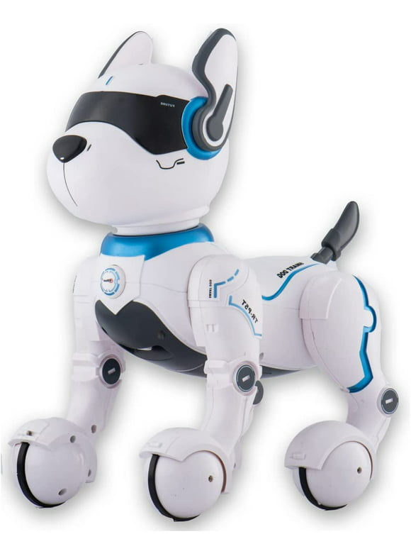 Remote-Controlled Robot Dog Toy for Kids 3-10 Years - Smart & Dancing, Mimics Animals - Mini Pet Robot