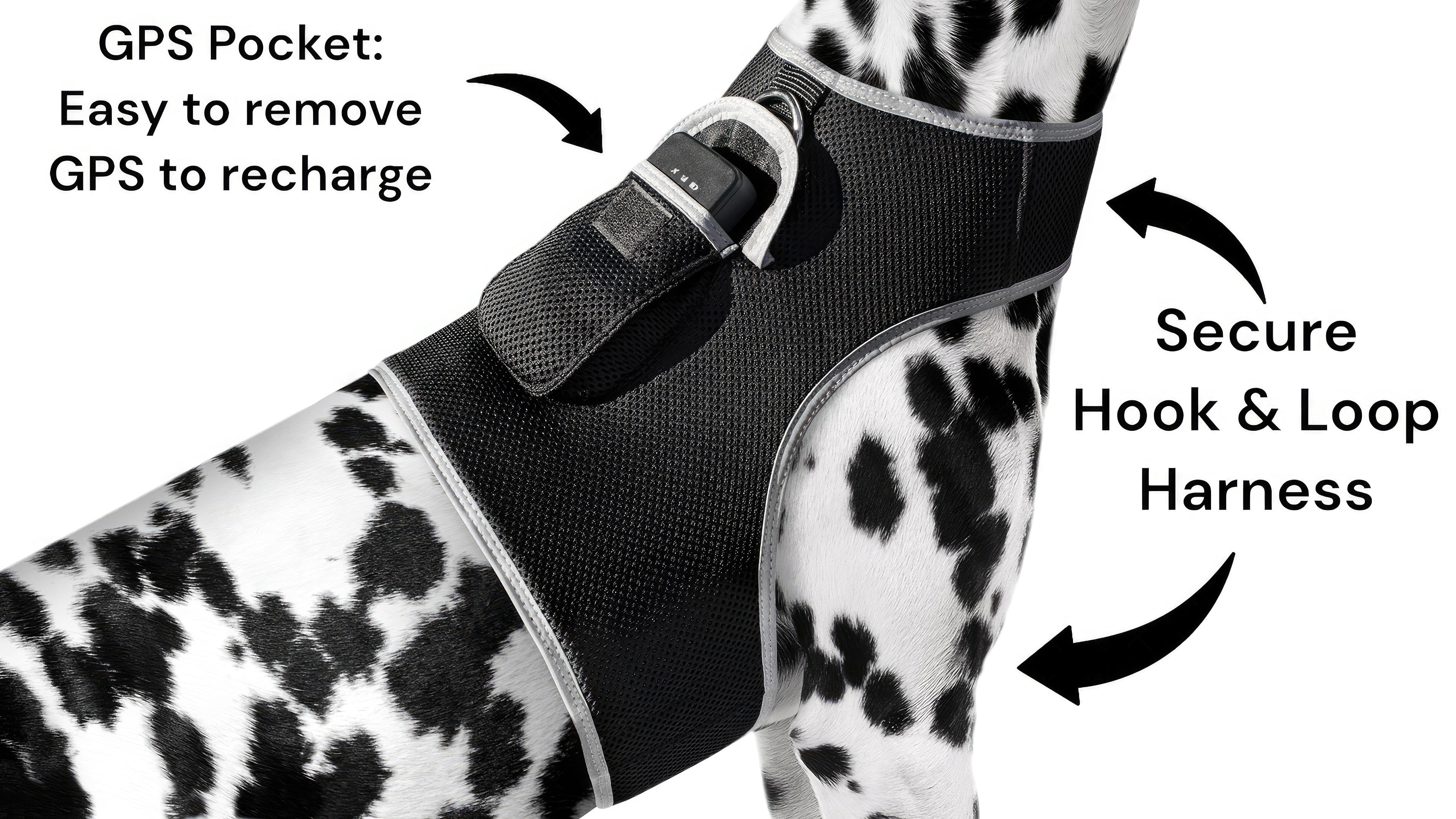 Remote Pet Security Pet Tracker GPS Dog Trackers Collar Mounted Finder Size:S