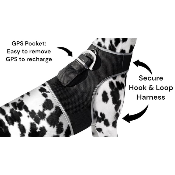 Remote Pet Security Pet Tracker GPS Dog Trackers Collar Mounted Finder Size:S