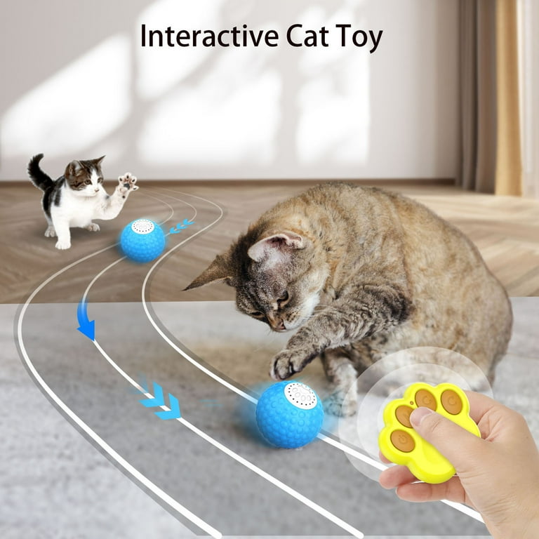 Remote control cat toy ball shop