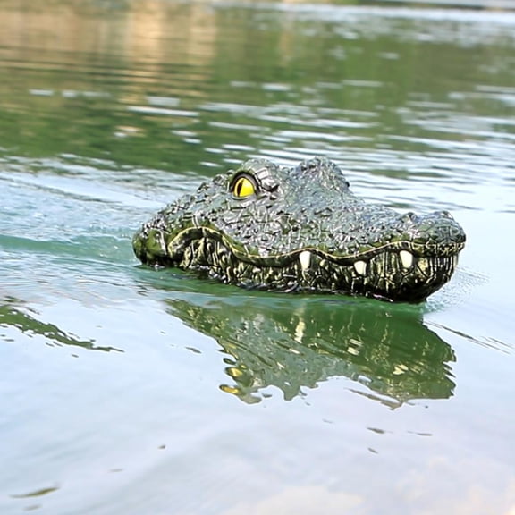 Remote boat,2ch Spoof Remote 2ch Head Boat Spoof Toy 2 Batteries 2 Battery 2 Remote Boat Pools Prank With Remote Boat And Lakes Pools And With 2 Head Prank Lakes Head Toy 2