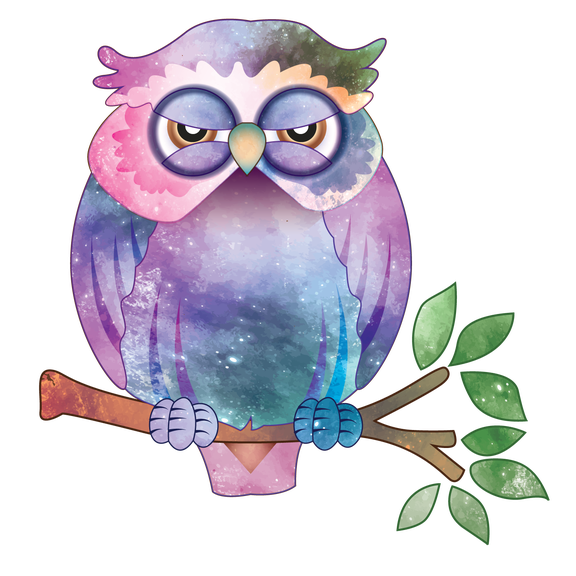Removable Home Art Vinyl Multi-colored Sleepy Owl Decoration Outer Space Background Design Wall Decal | 25" x 25" Adhesive Kids Bedroom Living Room Nursery Nocturnal Bird Animal Wall Sticker