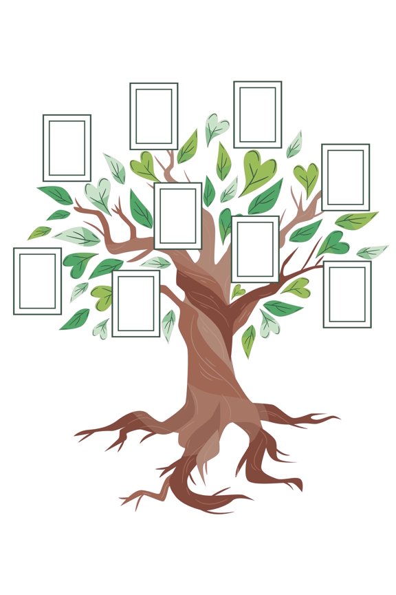Removable Home Bedroom Multicolored Family Tree Mural Art Decoration Photo Frames Design Vinyl Wall Decal - 20" x 22" Family Living Room Sticker Create Your Picture Collage Adhesive Wall Dcor