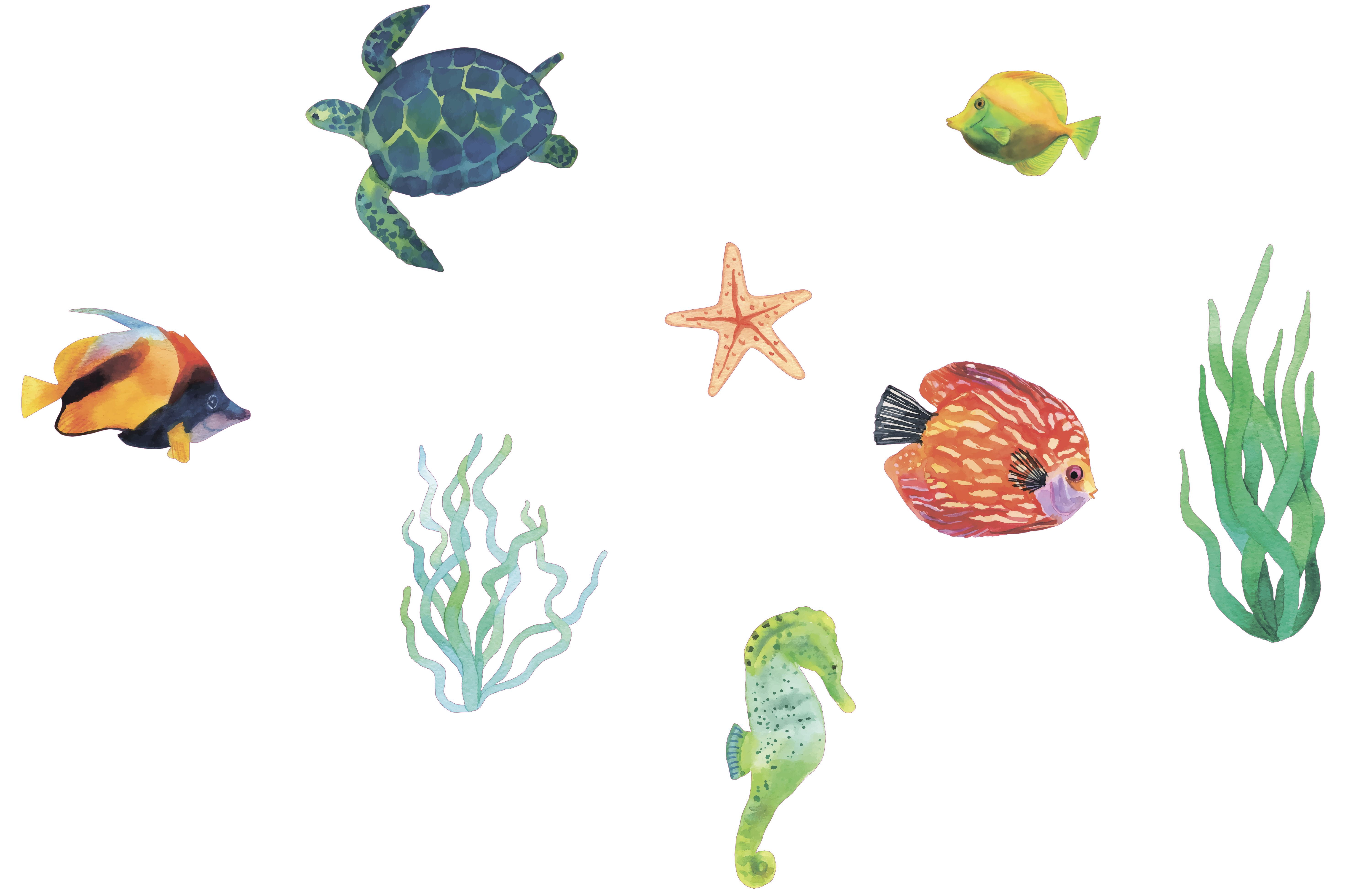 Photo inspiration: Fresh Look at Removable Multicolored Beneath The Ocean View Decoration Aquatic